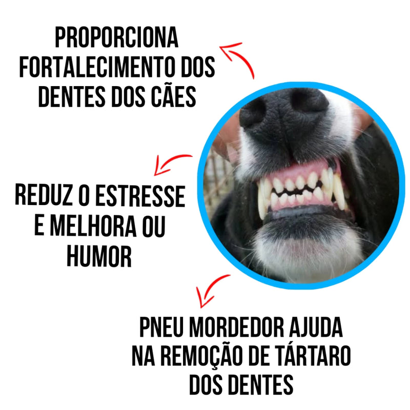 Brinquedo Pneu Cachorro Mordedor Pet Borracha Resistente Com Ou Sem Corda