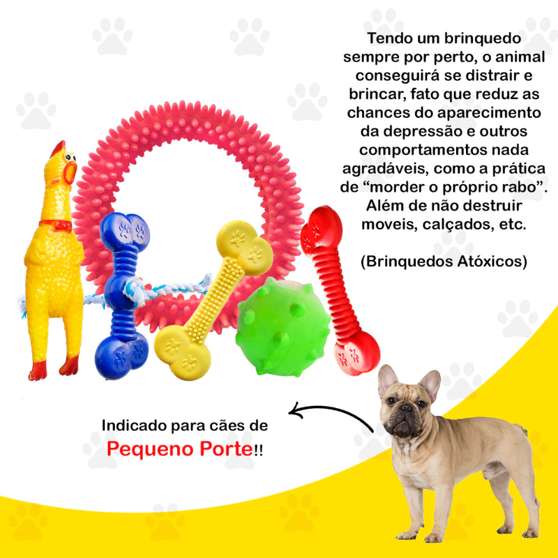 Kit Brinquedo Cachorro Pet Pequeno Porte Brinquedinho Pet Mordedor